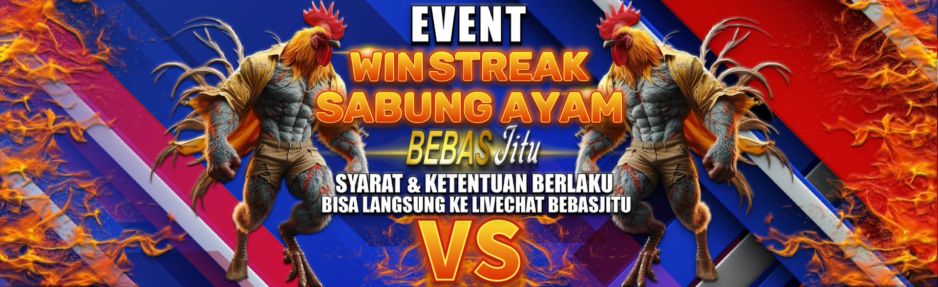 PILIH AYAM-MU, RAIH WINSTREAK-MU!